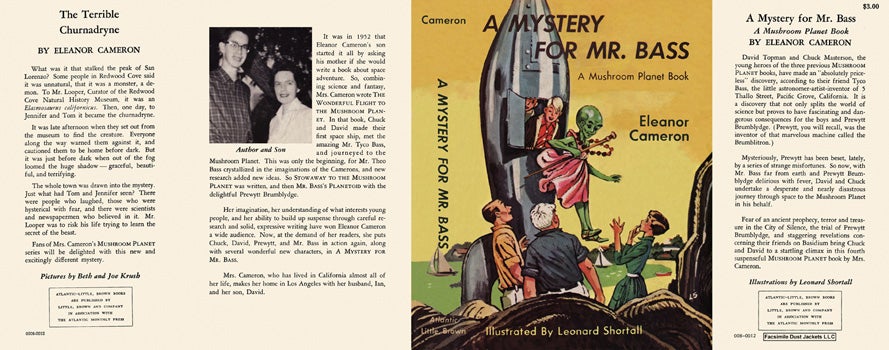 Item #31899 Mystery for Mr. Bass, A. Eleanor Cameron, Leonard Shortall