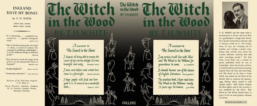 Item #4182 Witch in the Wood, The. T. H. White.