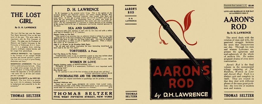 Item #4659 Aaron's Rod. D. H. Lawrence