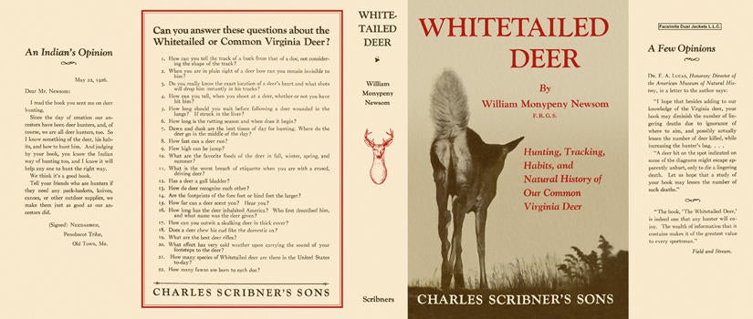 Item #5671 Whitetailed Deer. William Monypeny Newsom